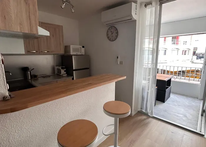 Appartement Climatise Et Spacieux Avec Terrasse Et Vue Sur Le Port Capacite 6 Personnes Agde