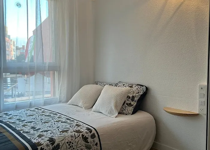 Appartement Climatise Et Spacieux Avec Terrasse Et Vue Sur Le Port Capacite 6 Personnes Agde