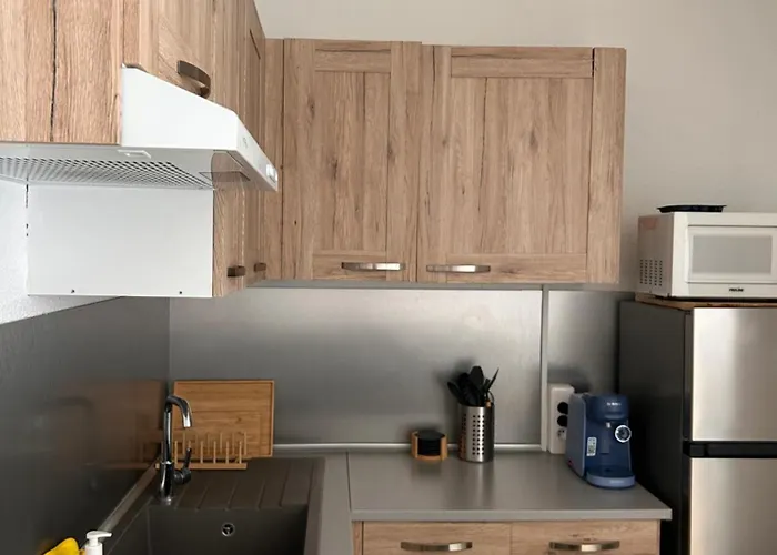 Appartement Climatise Et Spacieux Avec Terrasse Et Vue Sur Le Port Capacite 6 Personnes