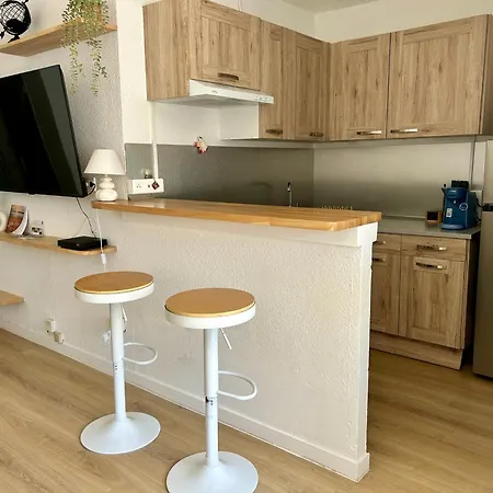 Climatise Et Spacieux Avec Terrasse Et Vue Sur Le Port Capacite 6 Personnes Agde