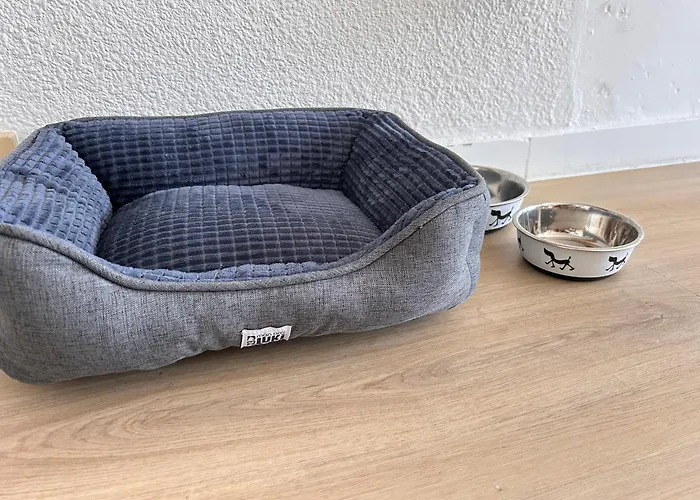 Climatise Et Spacieux Avec Terrasse Et Vue Sur Le Port Capacite 6 Personnes Apartman *