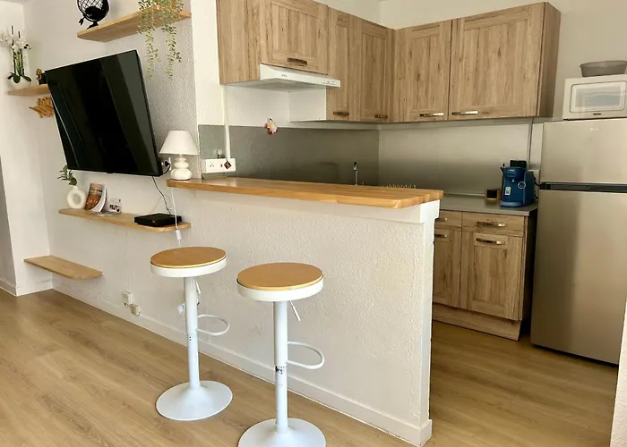 Climatise Et Spacieux Avec Terrasse Et Vue Sur Le Port Capacite 6 Personnes Agde