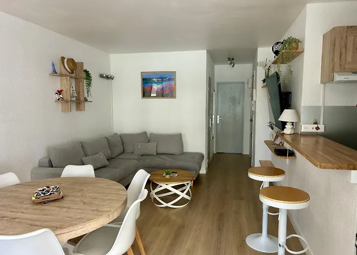 Climatise Et Spacieux Avec Terrasse Et Vue Sur Le Port Capacite 6 Personnes Apartman Agde